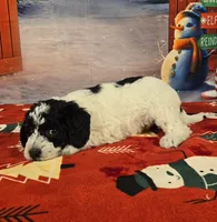 processed/54551afe-fc14-49a1-a6e6-26fd6658080f/listing/29bdbbd4-1ea1-4f82-bea3-3d69553bcd25/ae136cbc-d696-40c0-a5bf-163b9d1009f3