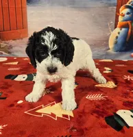 processed/54551afe-fc14-49a1-a6e6-26fd6658080f/listing/29bdbbd4-1ea1-4f82-bea3-3d69553bcd25/c5b49467-7009-4d6e-9808-1a746a13481d