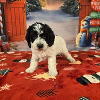 processed/54551afe-fc14-49a1-a6e6-26fd6658080f/listing/29bdbbd4-1ea1-4f82-bea3-3d69553bcd25/dcf0002c-b689-404f-8345-32a469e52d0b