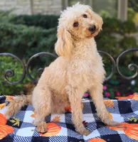 processed/54551afe-fc14-49a1-a6e6-26fd6658080f/listing/42dfe4cc-2744-4ac5-93ed-df876612bb10/1573c0e2-b6e9-49f5-a622-8dc895f4c48c