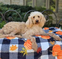 processed/54551afe-fc14-49a1-a6e6-26fd6658080f/listing/42dfe4cc-2744-4ac5-93ed-df876612bb10/921e82bf-ef60-4d9d-9111-e4a936bbf9b2