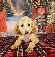 processed/54551afe-fc14-49a1-a6e6-26fd6658080f/listing/6324feac-c608-40c5-8a81-ee7ffda4d9eb/0b190f9a-63e8-4092-8914-a4c075e770c1