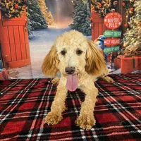 processed/54551afe-fc14-49a1-a6e6-26fd6658080f/listing/6324feac-c608-40c5-8a81-ee7ffda4d9eb/482a486e-ba00-4ae8-9223-f34e5f32796c