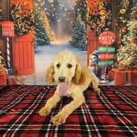 processed/54551afe-fc14-49a1-a6e6-26fd6658080f/listing/6324feac-c608-40c5-8a81-ee7ffda4d9eb/5cf2d839-5143-45d2-b193-a2870d253879