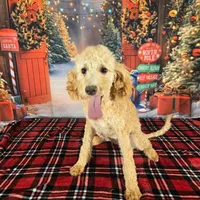 processed/54551afe-fc14-49a1-a6e6-26fd6658080f/listing/6324feac-c608-40c5-8a81-ee7ffda4d9eb/adee97ce-4690-4208-9a5d-e263bc738159