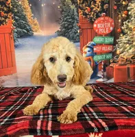 processed/54551afe-fc14-49a1-a6e6-26fd6658080f/listing/6324feac-c608-40c5-8a81-ee7ffda4d9eb/eeee581e-6e22-4e73-a525-4e552c0643b6