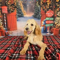 processed/54551afe-fc14-49a1-a6e6-26fd6658080f/listing/6324feac-c608-40c5-8a81-ee7ffda4d9eb/f1cfce7f-7c09-4ee5-bb1d-c3e1aa2ee06a