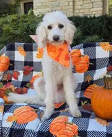 processed/54551afe-fc14-49a1-a6e6-26fd6658080f/listing/68f2611d-2f8c-42a9-b79b-64643315bcb1/acf8e475-c023-4d5b-b2a2-bb7065549b1b