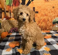 processed/54551afe-fc14-49a1-a6e6-26fd6658080f/listing/d92c7160-9018-438b-bdd5-221764209212/04c45e28-57e2-4fd8-8216-a67b15455fba