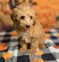 processed/54551afe-fc14-49a1-a6e6-26fd6658080f/listing/d92c7160-9018-438b-bdd5-221764209212/516cb96f-83d5-437b-b841-b95d9f24262e