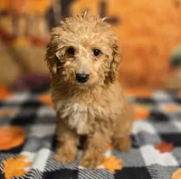 processed/54551afe-fc14-49a1-a6e6-26fd6658080f/listing/d92c7160-9018-438b-bdd5-221764209212/db8eebb2-89c6-46a5-a125-2ffb446bc9df