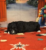 processed/54551afe-fc14-49a1-a6e6-26fd6658080f/listing/dcdc6048-0ad3-4a40-a739-6a97a94e220b/0dab3904-dd44-43d2-8cde-6409093a7c89