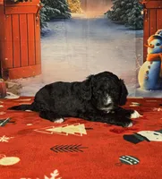 processed/54551afe-fc14-49a1-a6e6-26fd6658080f/listing/dcdc6048-0ad3-4a40-a739-6a97a94e220b/9f5010a1-4054-4bce-8442-f322fd145367