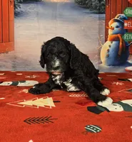 processed/54551afe-fc14-49a1-a6e6-26fd6658080f/listing/dcdc6048-0ad3-4a40-a739-6a97a94e220b/babed104-35f5-448e-a095-ceeb0737886f