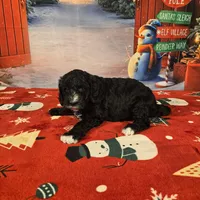 processed/54551afe-fc14-49a1-a6e6-26fd6658080f/listing/dcdc6048-0ad3-4a40-a739-6a97a94e220b/cb30a0f4-0c59-469e-97a6-a8ba2f737245