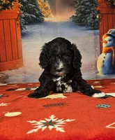 processed/54551afe-fc14-49a1-a6e6-26fd6658080f/listing/dcdc6048-0ad3-4a40-a739-6a97a94e220b/ddf3b4af-8043-40ff-be4c-fe5790b0d650