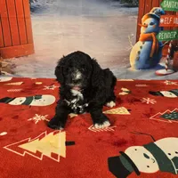 processed/54551afe-fc14-49a1-a6e6-26fd6658080f/listing/dcdc6048-0ad3-4a40-a739-6a97a94e220b/eb3d8817-77eb-418d-a015-df022c2dadae