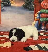 processed/54551afe-fc14-49a1-a6e6-26fd6658080f/listing/eb9d4ece-21e5-4bb7-a22f-730a16099f21/1f734b75-fd5e-4025-a79d-edcd0a392d0a