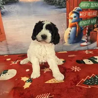 processed/54551afe-fc14-49a1-a6e6-26fd6658080f/listing/eb9d4ece-21e5-4bb7-a22f-730a16099f21/6b8f5393-a44b-42ce-98f5-51d1f31271b2