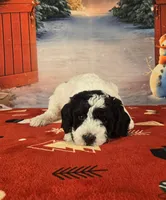 processed/54551afe-fc14-49a1-a6e6-26fd6658080f/listing/eb9d4ece-21e5-4bb7-a22f-730a16099f21/6fccb433-9749-4bae-ab34-82948e43ada8