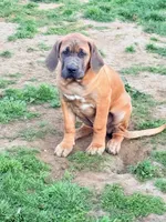 processed/5461b64c-7ea1-4374-9ae8-7a6aa990b2e7/listing/cc5b7d5e-c05c-4242-b760-e2c7651cdd3f/1041ecf8-bbb2-434e-92f1-e82f496427f9