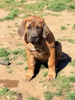 processed/5461b64c-7ea1-4374-9ae8-7a6aa990b2e7/listing/cc5b7d5e-c05c-4242-b760-e2c7651cdd3f/31a18a8a-3189-4b30-8397-c4c893a18497