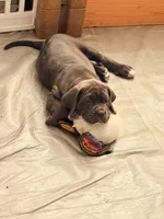 processed/5461b64c-7ea1-4374-9ae8-7a6aa990b2e7/listing/cc5b7d5e-c05c-4242-b760-e2c7651cdd3f/795ff350-07ac-4ae8-b595-c9bd534eb85b