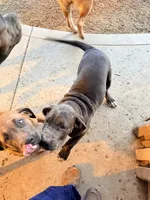 processed/5461b64c-7ea1-4374-9ae8-7a6aa990b2e7/listing/cc5b7d5e-c05c-4242-b760-e2c7651cdd3f/7d7019ed-3e85-4620-95fa-d0f96b98b982