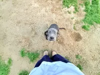 processed/5461b64c-7ea1-4374-9ae8-7a6aa990b2e7/listing/cc5b7d5e-c05c-4242-b760-e2c7651cdd3f/fc662dd0-c8a9-49cd-adef-464df59e189c