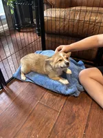 processed/54624b08-b2b6-4f95-846f-d6d75651994b/facility/070bc257-d0a8-464a-ab0f-0b578593d306