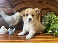 processed/54624b08-b2b6-4f95-846f-d6d75651994b/facility/2a28fa11-2dcc-4638-ad45-c3b6434045d8