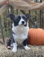 processed/54624b08-b2b6-4f95-846f-d6d75651994b/facility/5323aa45-de22-41d3-ba83-936c8dcf076e