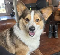 processed/54624b08-b2b6-4f95-846f-d6d75651994b/facility/849fda40-5fff-45bd-ae99-8503465515a7