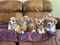 processed/54624b08-b2b6-4f95-846f-d6d75651994b/facility/cc7f33fd-8cc7-4bdb-93fc-ab32dbffc957