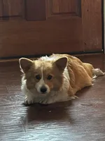 processed/54624b08-b2b6-4f95-846f-d6d75651994b/facility/cfb960d0-0754-4fe3-905a-075b97219a97