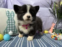 processed/54624b08-b2b6-4f95-846f-d6d75651994b/facility/f72b70cb-fedc-41d3-9aa7-8006d5369dd2