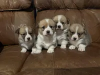 processed/54624b08-b2b6-4f95-846f-d6d75651994b/facility/fed2d8ee-3d78-4877-ad9f-7930f2cc863b