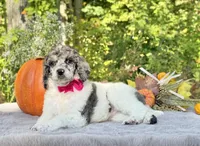 processed/549a53d0-36af-4443-8024-677310ead660/listing/0634012f-b4e2-4a60-ac78-54a002c1d25c/2a134959-131e-4d1f-b612-062158e08cb8