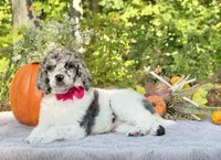 processed/549a53d0-36af-4443-8024-677310ead660/listing/0634012f-b4e2-4a60-ac78-54a002c1d25c/4fa5580f-c2c8-46d0-a95c-c766c0932f03