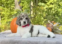 processed/549a53d0-36af-4443-8024-677310ead660/listing/0634012f-b4e2-4a60-ac78-54a002c1d25c/6398f608-6f73-4158-abff-3bbc2207eaeb