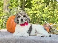 processed/549a53d0-36af-4443-8024-677310ead660/listing/0634012f-b4e2-4a60-ac78-54a002c1d25c/91c8a25c-051d-4844-ab99-8362f2a55224