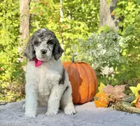 processed/549a53d0-36af-4443-8024-677310ead660/listing/0634012f-b4e2-4a60-ac78-54a002c1d25c/a068473c-e529-4da5-b947-6ac9ac1644b5