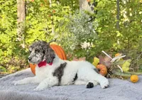 processed/549a53d0-36af-4443-8024-677310ead660/listing/0634012f-b4e2-4a60-ac78-54a002c1d25c/c3386a9e-fdb1-4211-bd10-407b12ae34eb