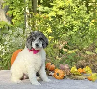 processed/549a53d0-36af-4443-8024-677310ead660/listing/0634012f-b4e2-4a60-ac78-54a002c1d25c/e6bc8fa1-d9dd-4563-be85-69e721aa1bbf