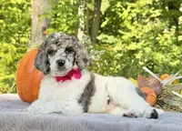 processed/549a53d0-36af-4443-8024-677310ead660/listing/0634012f-b4e2-4a60-ac78-54a002c1d25c/fbe887df-a8cf-4695-8513-bd25644cef88