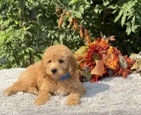 processed/549a53d0-36af-4443-8024-677310ead660/listing/18782250-9fec-40e4-bdab-fb0d8b783a4b/18a07796-4f5a-4ef2-990c-aa27cb990615