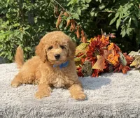 processed/549a53d0-36af-4443-8024-677310ead660/listing/18782250-9fec-40e4-bdab-fb0d8b783a4b/205685a0-a9ce-46b6-8c68-1c519c132c71