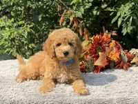 processed/549a53d0-36af-4443-8024-677310ead660/listing/18782250-9fec-40e4-bdab-fb0d8b783a4b/6483fb47-80e0-43c2-a8f7-84c57841cc95