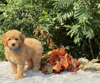 processed/549a53d0-36af-4443-8024-677310ead660/listing/18782250-9fec-40e4-bdab-fb0d8b783a4b/834d4f9e-2c7c-4646-96fb-6494637b839b