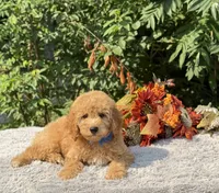 processed/549a53d0-36af-4443-8024-677310ead660/listing/18782250-9fec-40e4-bdab-fb0d8b783a4b/8c2fb086-32b7-441e-a220-0834182471e7